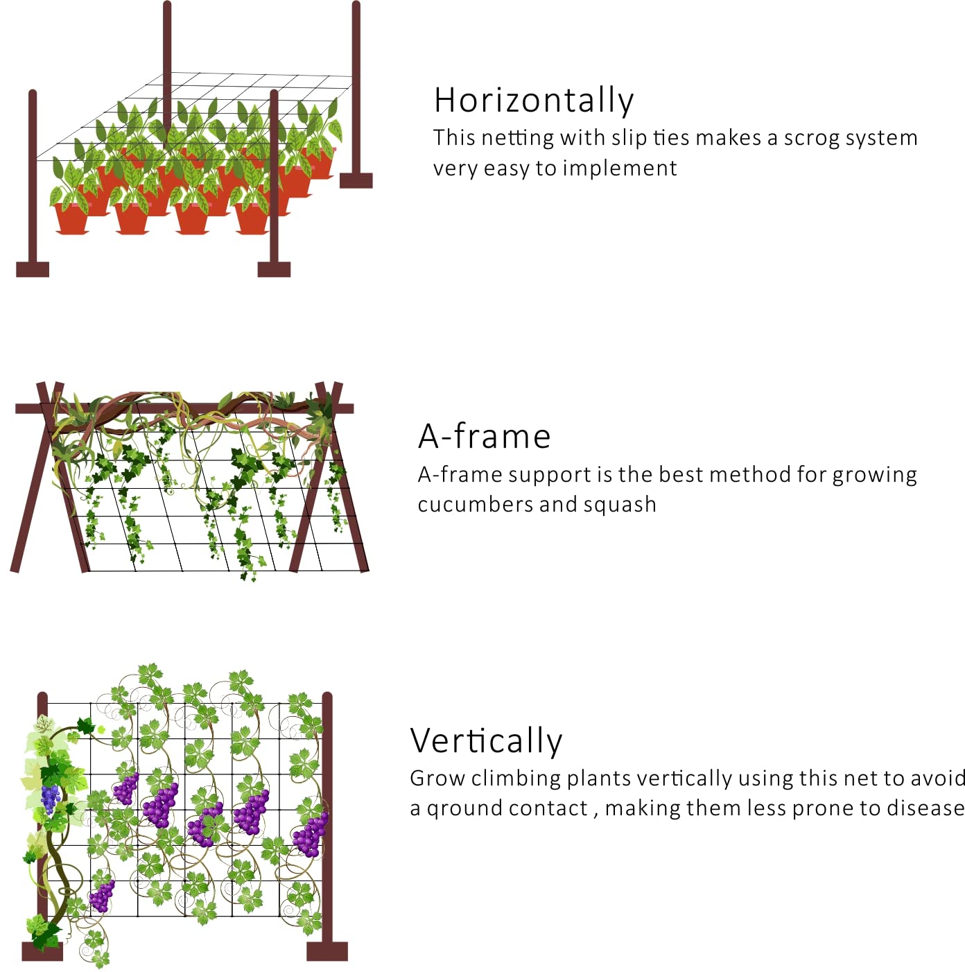 Toolazy trellis beside tape measure showing 79-inch height for full‑size crops