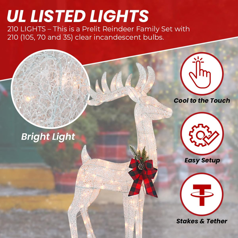 Top Treasures clear bulb detail showing UL-listed lights and warm color