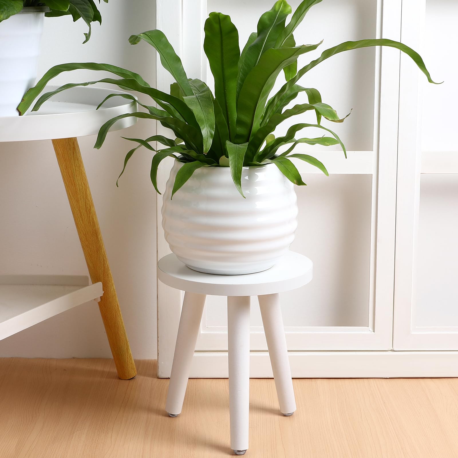 TOPBATHY styled in a living room to show decorative and plant-enhancing benefit