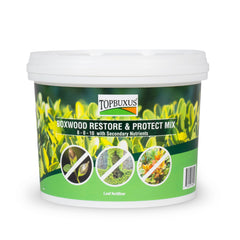 TOPBUXUS tub front view showing label and 100 tablets, clear product identification and volume