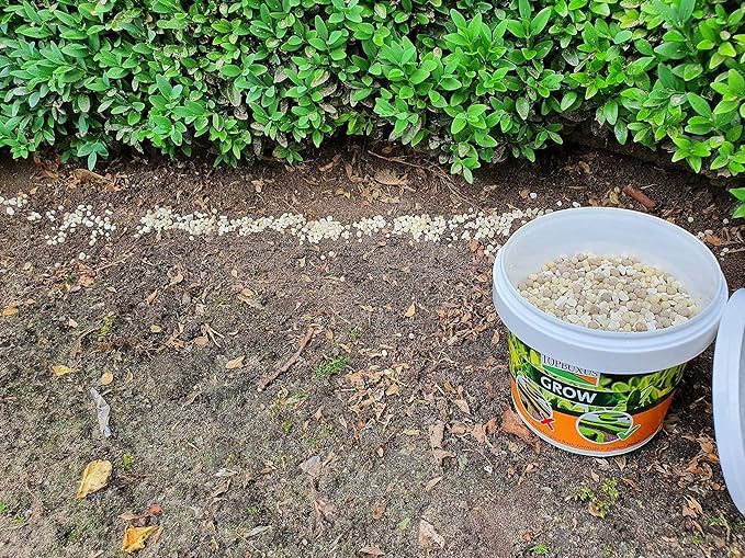 TOPBUXUS applied to a manicured boxwood hedge illustrating lush green results and improved appearance