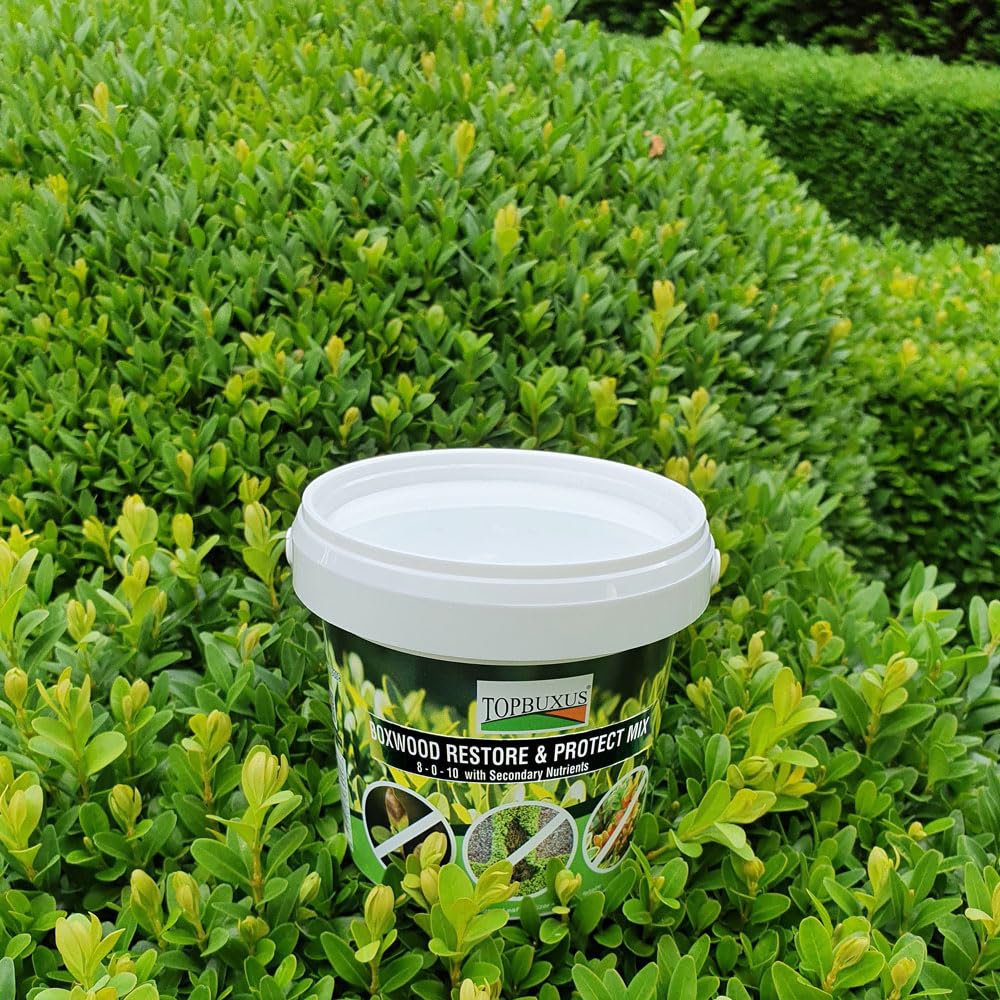 TOPBUXUS sprayer applying solution to boxwood illustrating even coverage