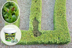 TOPBUXUS effervescent tablet close-up showing easy dissolving advantage