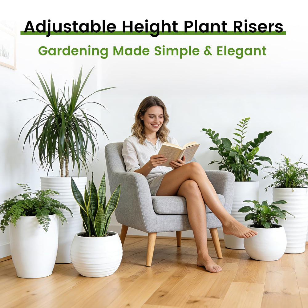 Topfurn riser in living room with plant showing improved display and lighter planter