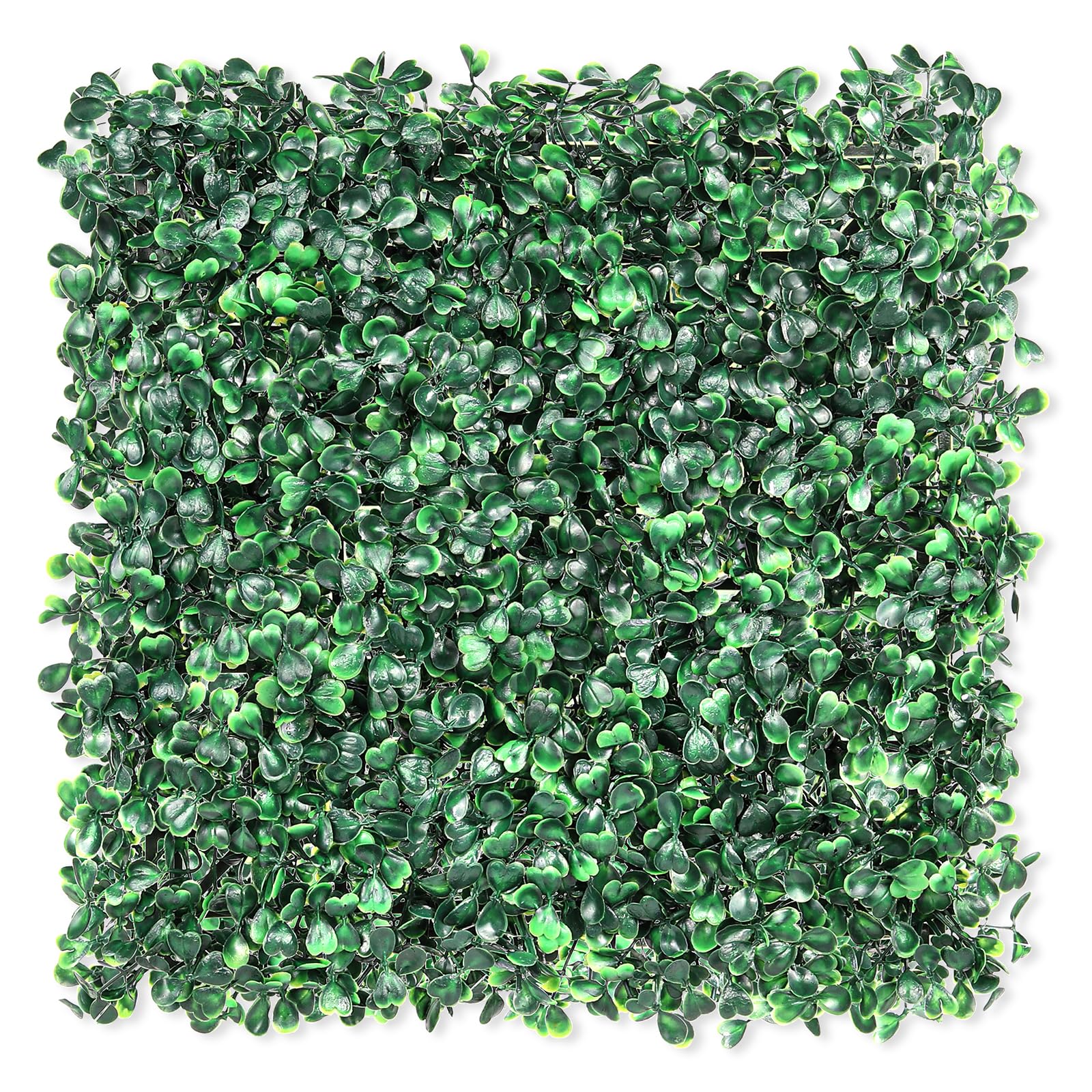 TOPNEW front view of boxwood panel showing full coverage and instant green privacy