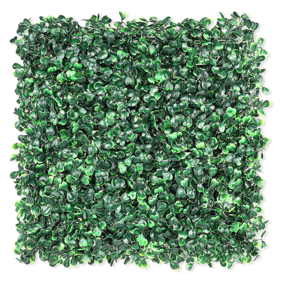 TOPNEW front view of boxwood panel showing full coverage and instant green privacy