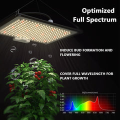 TopoGrow tent interior reflective Mylar improving light distribution and yields