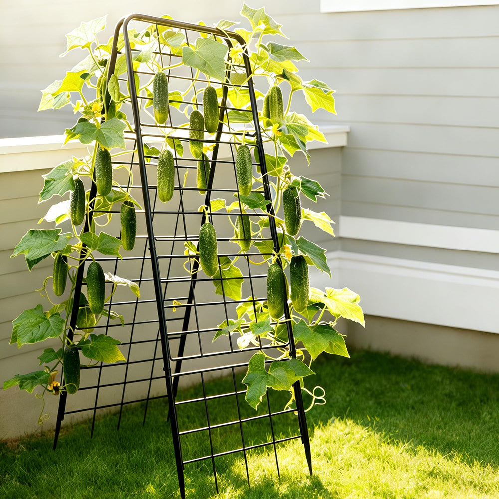 Topyznsup front view A-frame trellis showing sturdy support and neat grid
