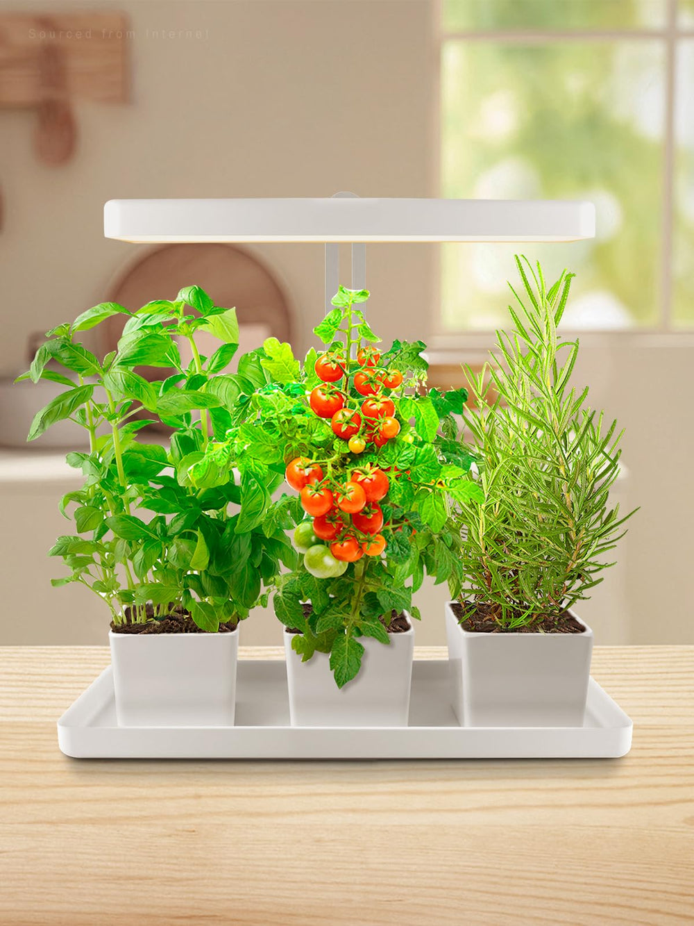 TORCHSTAR front view assembled showing compact countertop garden and ease of use