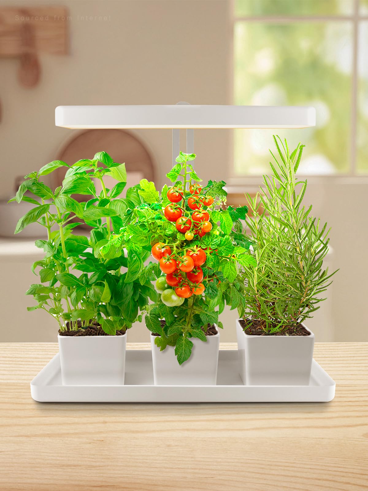 TORCHSTAR front view assembled showing compact countertop garden and ease of use