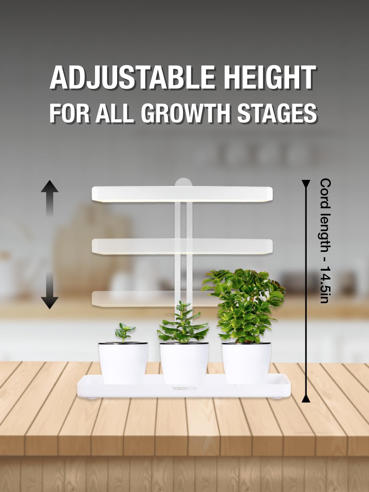 TORCHSTAR growing fresh herbs in trays on a kitchen counter for quick harvests