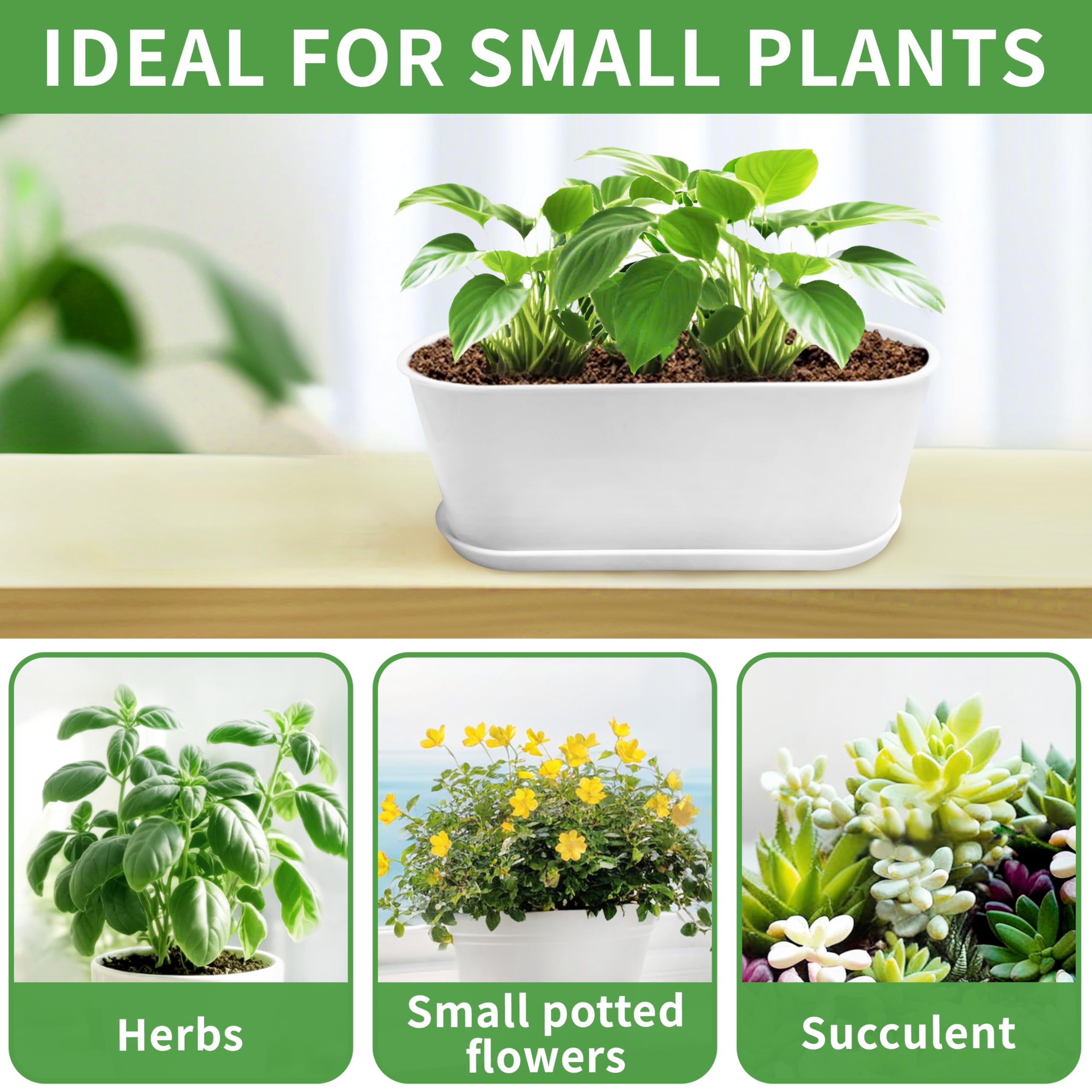 Torfican planters in kitchen with herbs showing convenience of indoor gardening