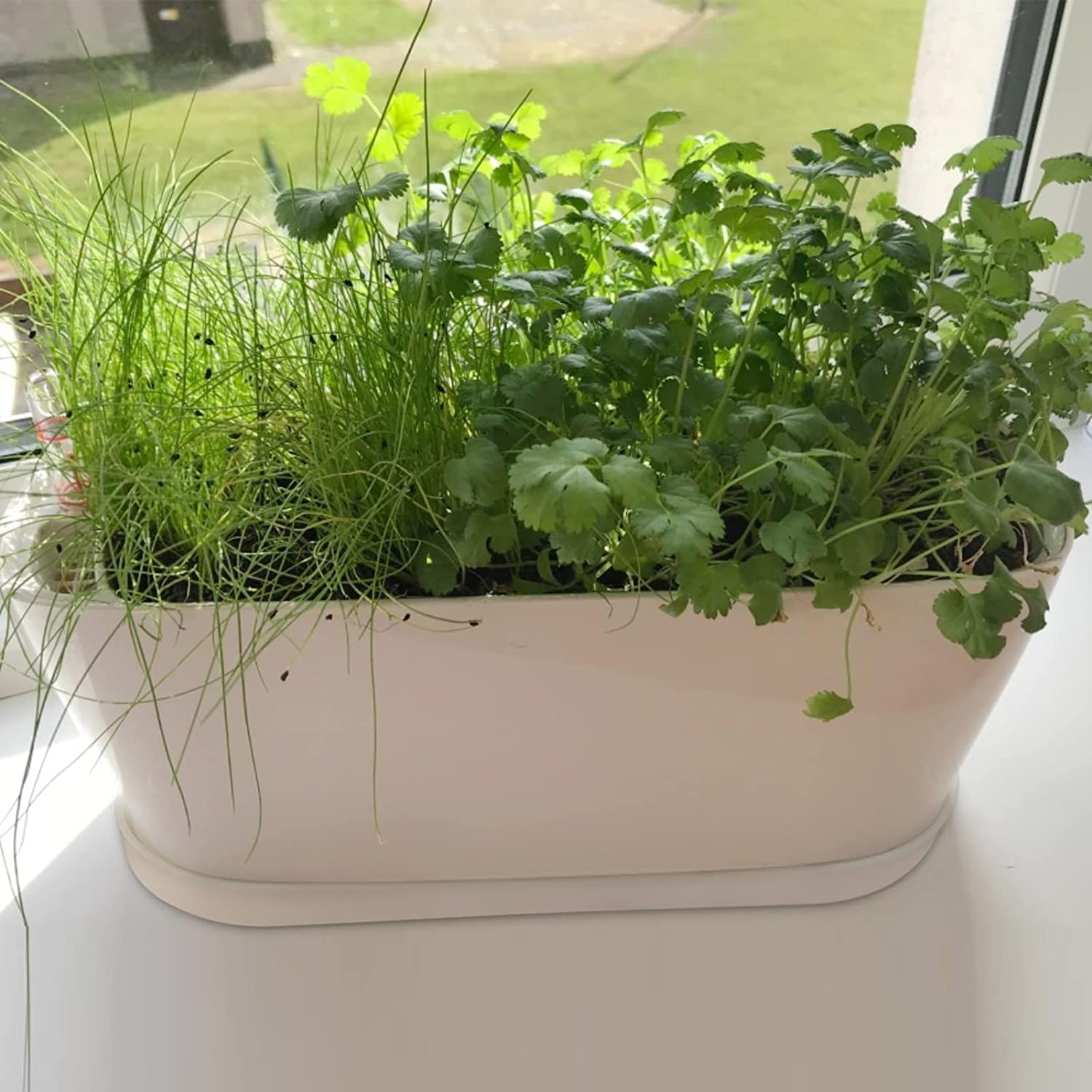 Torfican planters on windowsill with plants demonstrating space-saving benefit