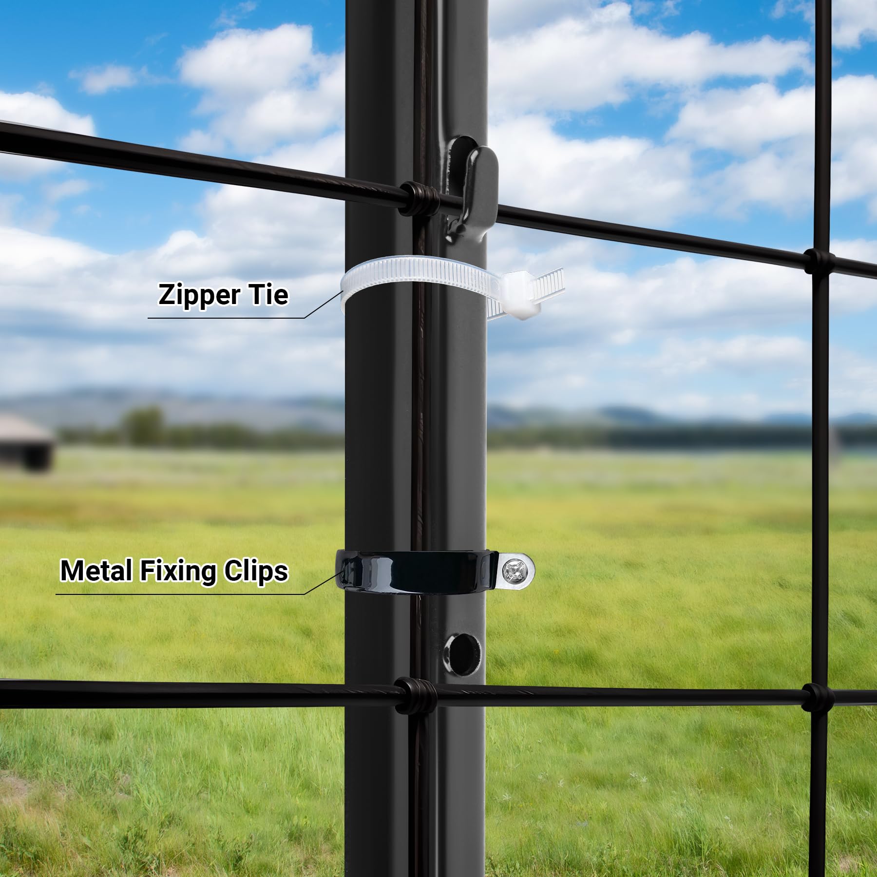 Toriexon installed in backyard showing tidy perimeter protection benefit