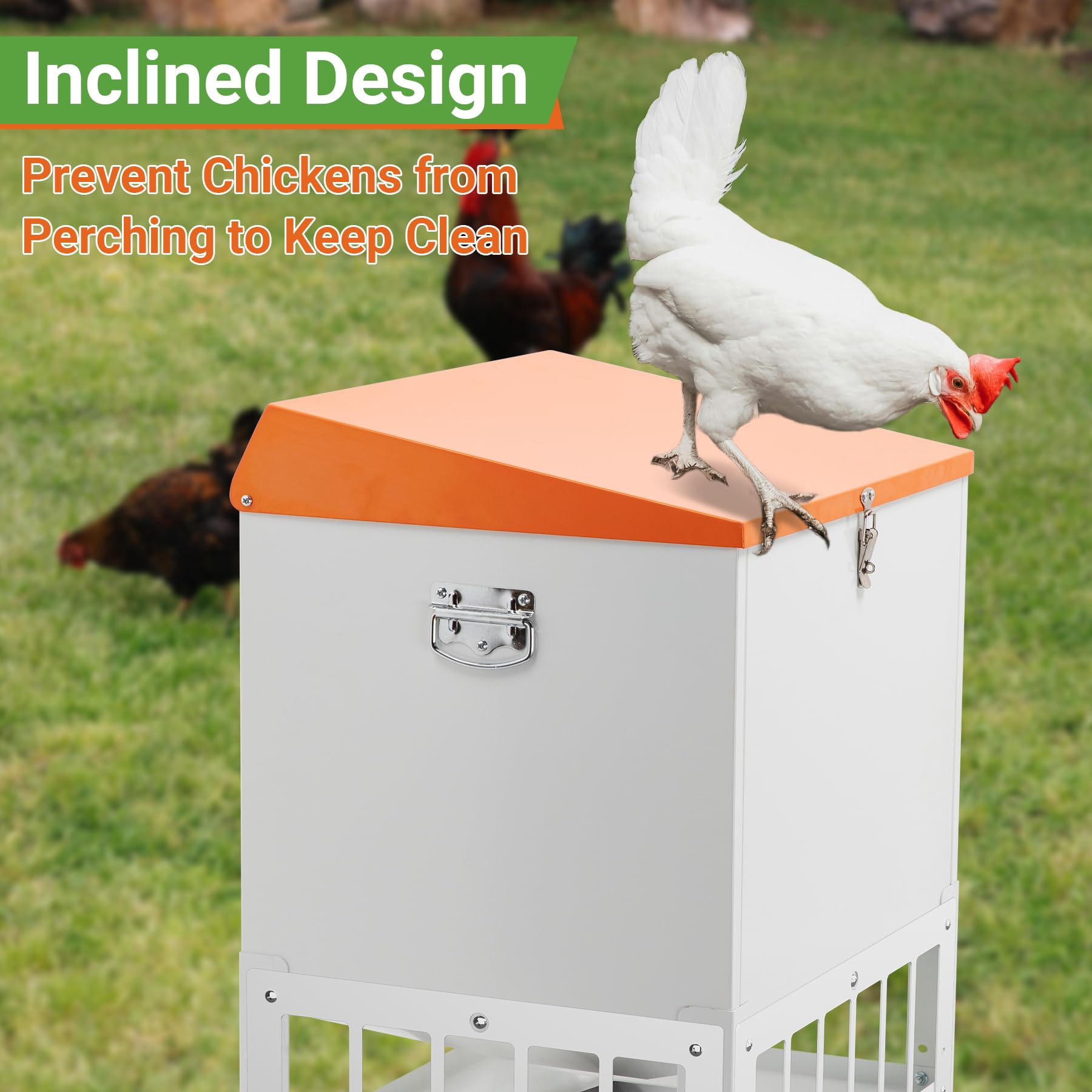 Toriexon feeder placed inside coop illustrating practical daily use