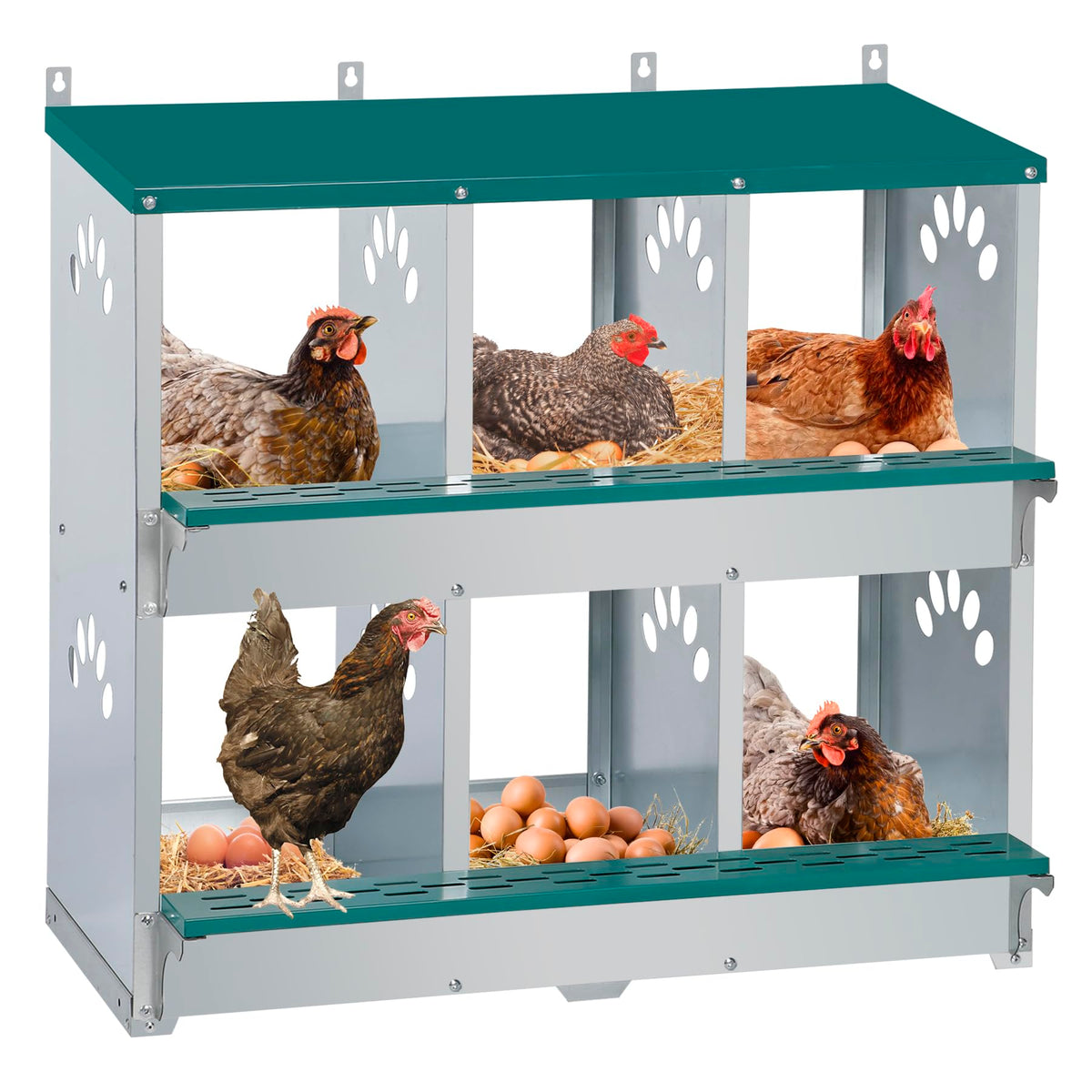Toriexon front view of 6-compartment nesting box showing neat egg organization and protection