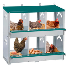 Toriexon front view of 6-compartment nesting box showing neat egg organization and protection