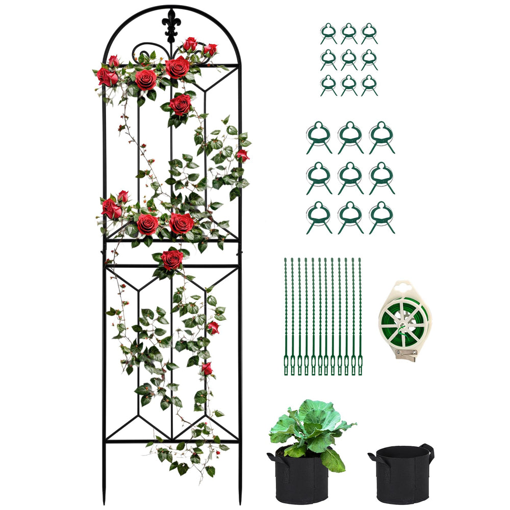 Toriexon trellis front view showing full 70.8 by 19.5 inch frame and grid for reliable support