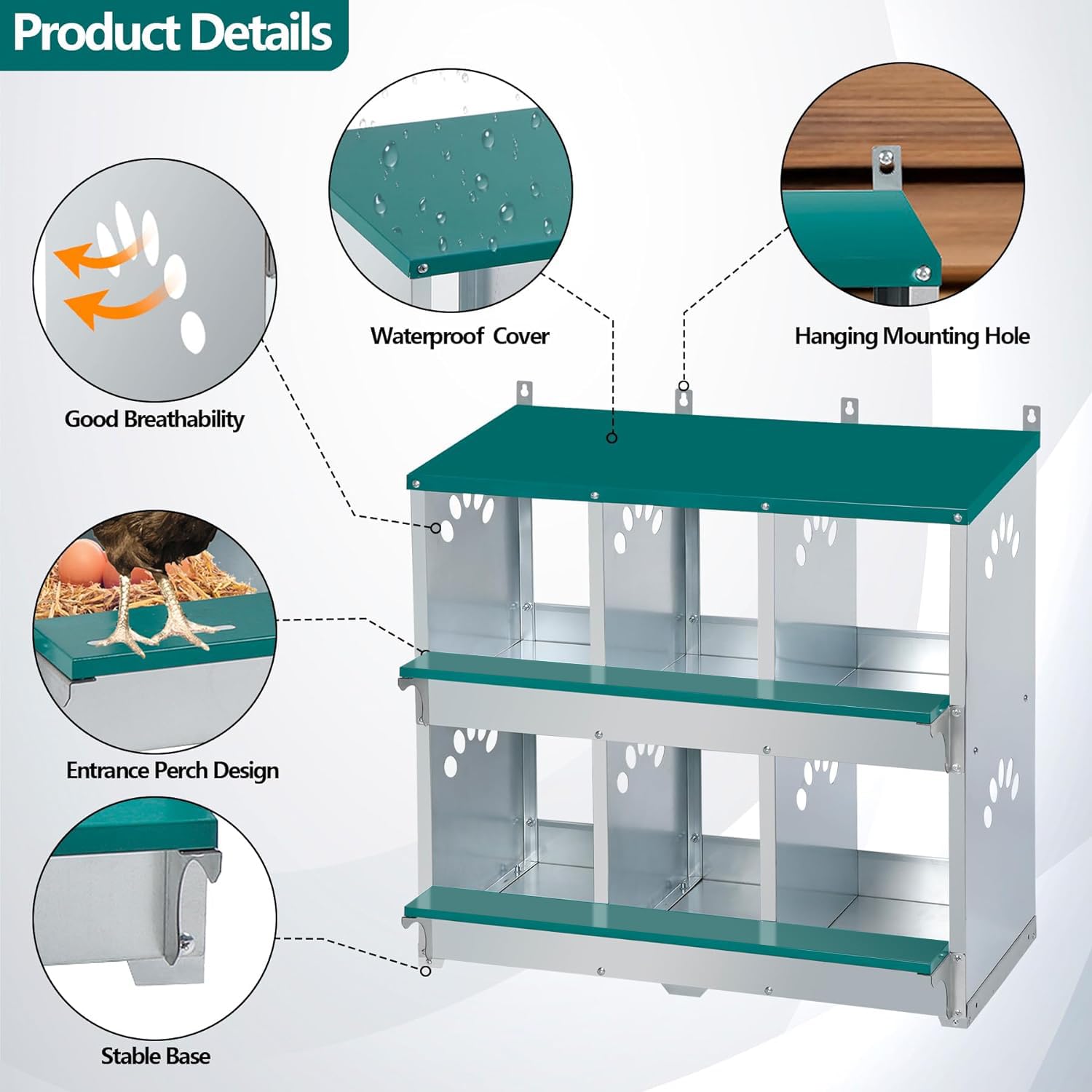 Toriexon interior compartment with egg demonstrating safe, protected egg placement and reduced breakage