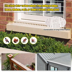 Touri spikes installed on a window sill keeping birds off ledge