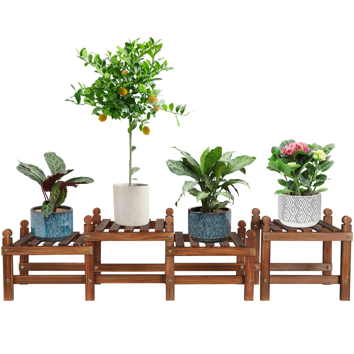 Tovacu front view of assembled plant stand showing compact footprint and rustic finish