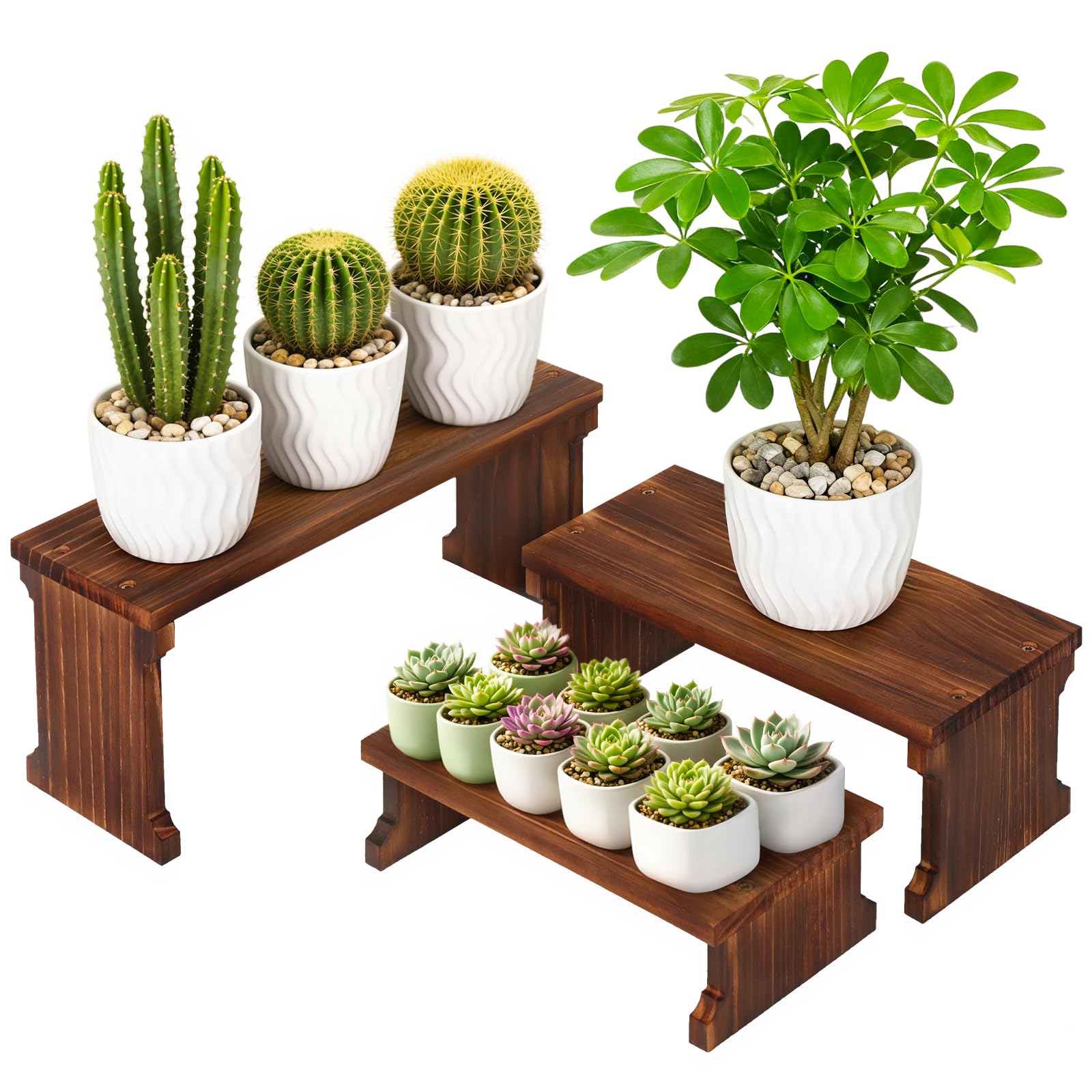 Tovacu front view tabletop plant stand showcasing organized pots and space saving