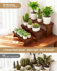 Tovacu displayed on a window sill maximizing sunlight and compact vertical space