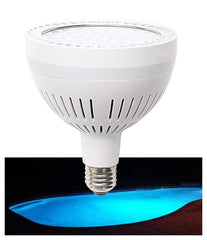 TOVEENEN front view bulb showing lens and base, bright illumination benefit
