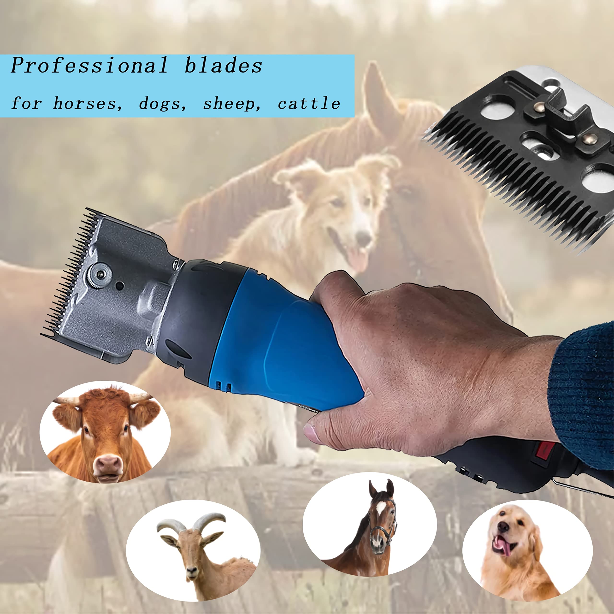 Towiac clippers grooming a horse showing efficient shearing benefit