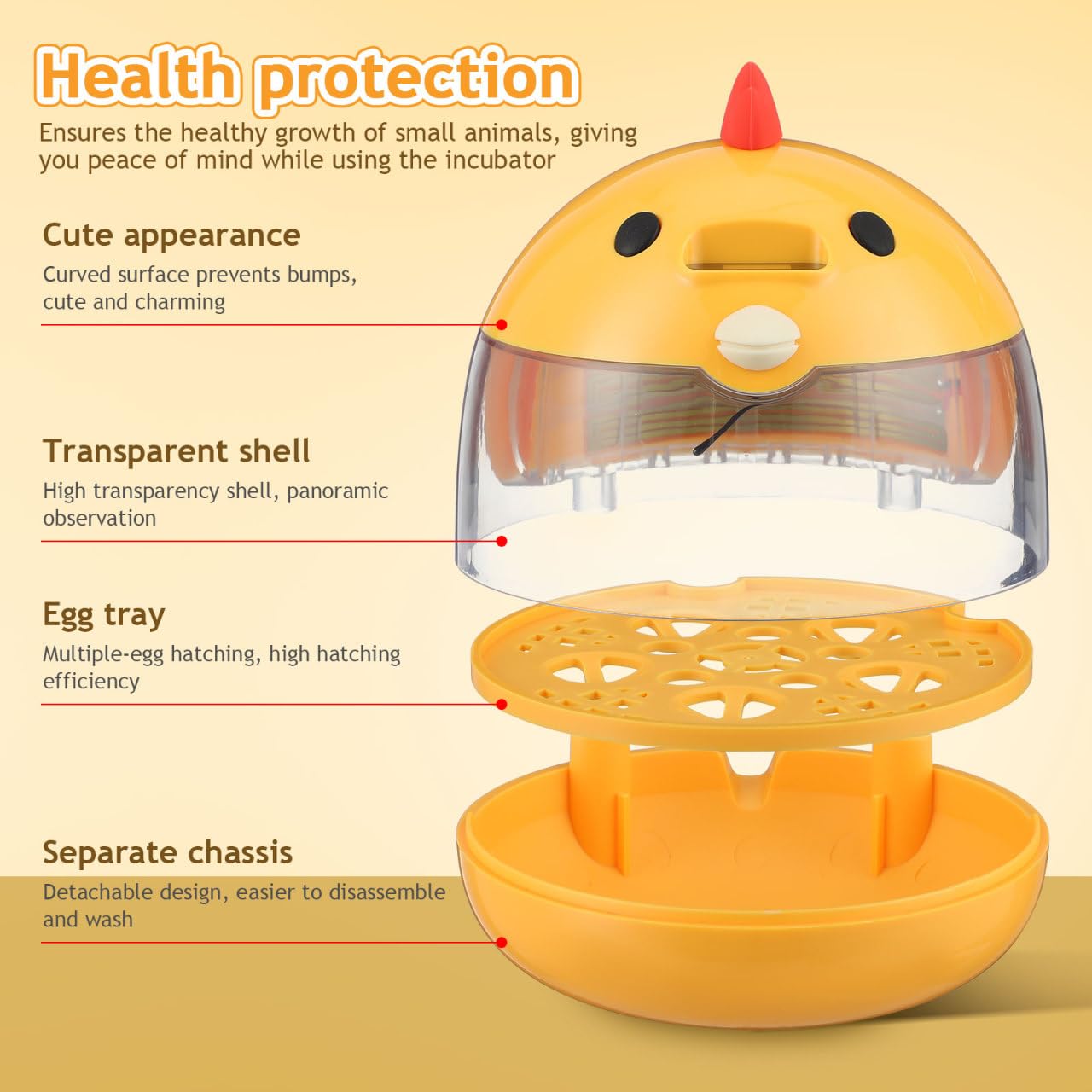 TOYANDONA eggs in tray demonstrating secure placement and balanced circulation