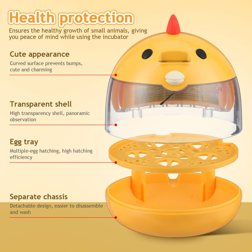 TOYANDONA eggs in tray demonstrating secure placement and balanced circulation