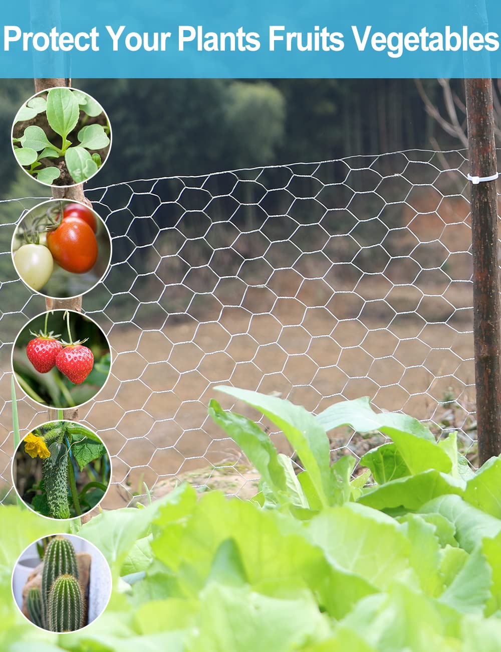 TOYPOPOR used as a garden border protecting plants and allowing airflow