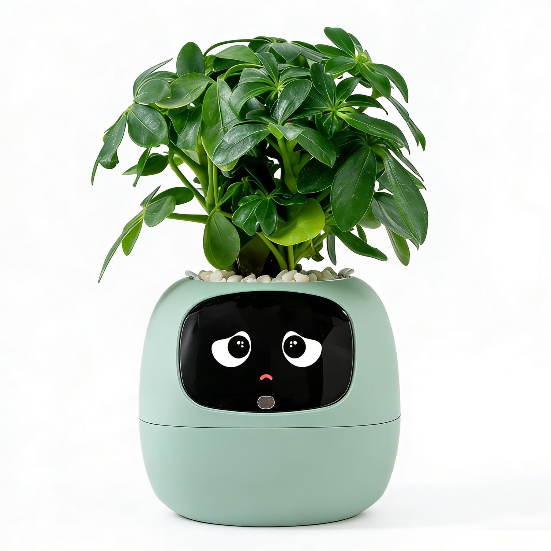 TPHRAVAL front view showing green smart planter and friendly design for decor