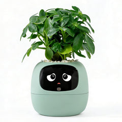 TPHRAVAL front view showing green smart planter and friendly design for decor