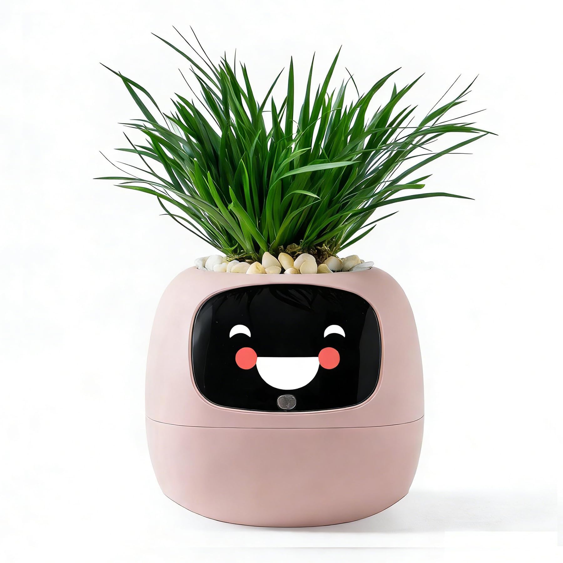 TPHRAVAL front view of pink smart planter showing friendly shape and decor benefit