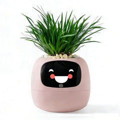 TPHRAVAL front view of pink smart planter showing friendly shape and decor benefit