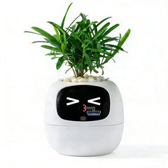 TPHRAVAL front view of white smart pot showing compact design and decorative look
