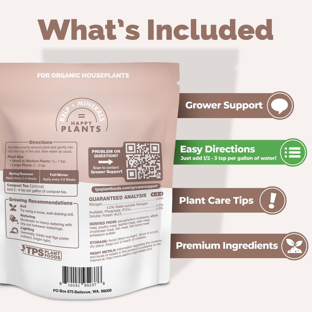 TPS NUTRIENTS granules applied in potted fiddle leaf fig to promote healthier leaves