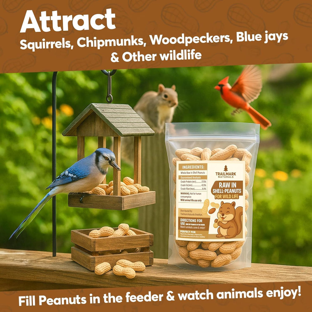 TRAILMARK NATURALS wild bird perched on feeder using peanuts, attracting diverse backyard birds