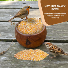 TRAILMARK NATURALS scattered for ducks feeding, illustrating waterfowl appeal