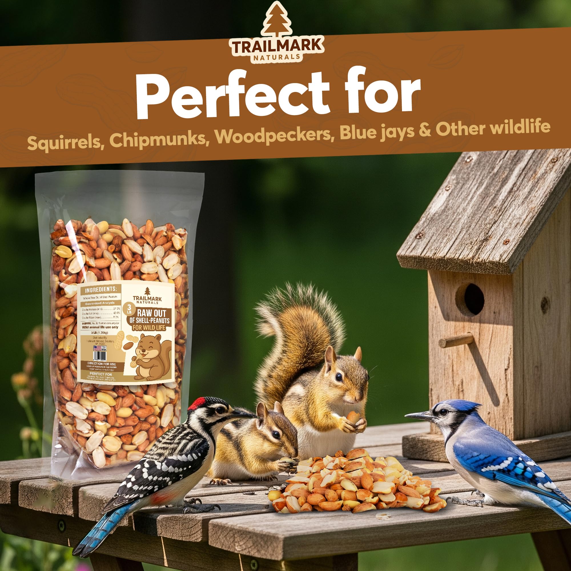 Trailmark Naturals peanuts in a mesh feeder attracting a squirrel with easy access