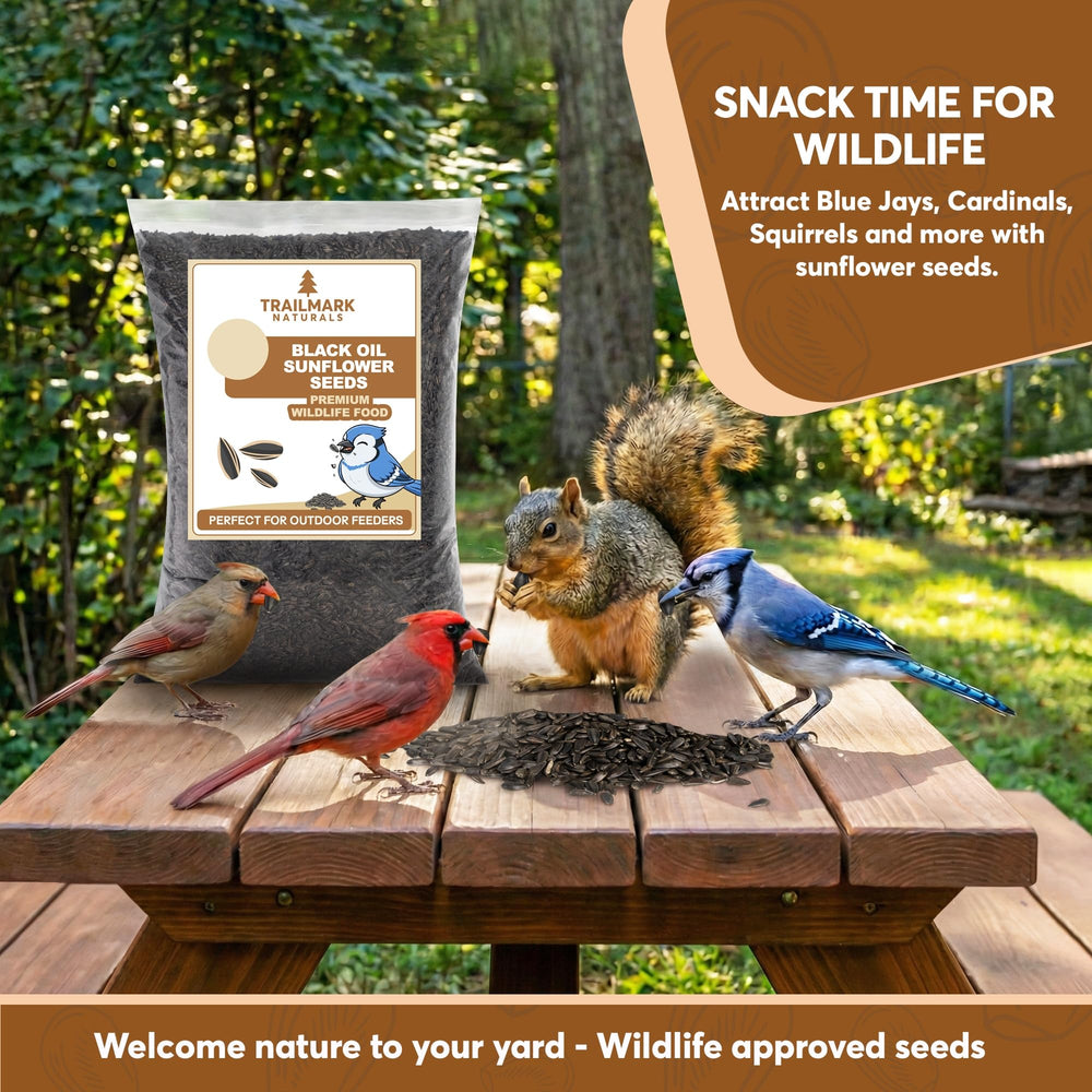 TRAILMARK NATURALS seeds in a tube feeder with visiting bird, attracts more visitors