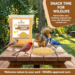 TRAILMARK NATURALS in feeder demonstrating ease of use and bird attraction
