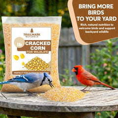 TRAILMARK NATURALS cracked corn kernel close-up showing texture and high-energy grain