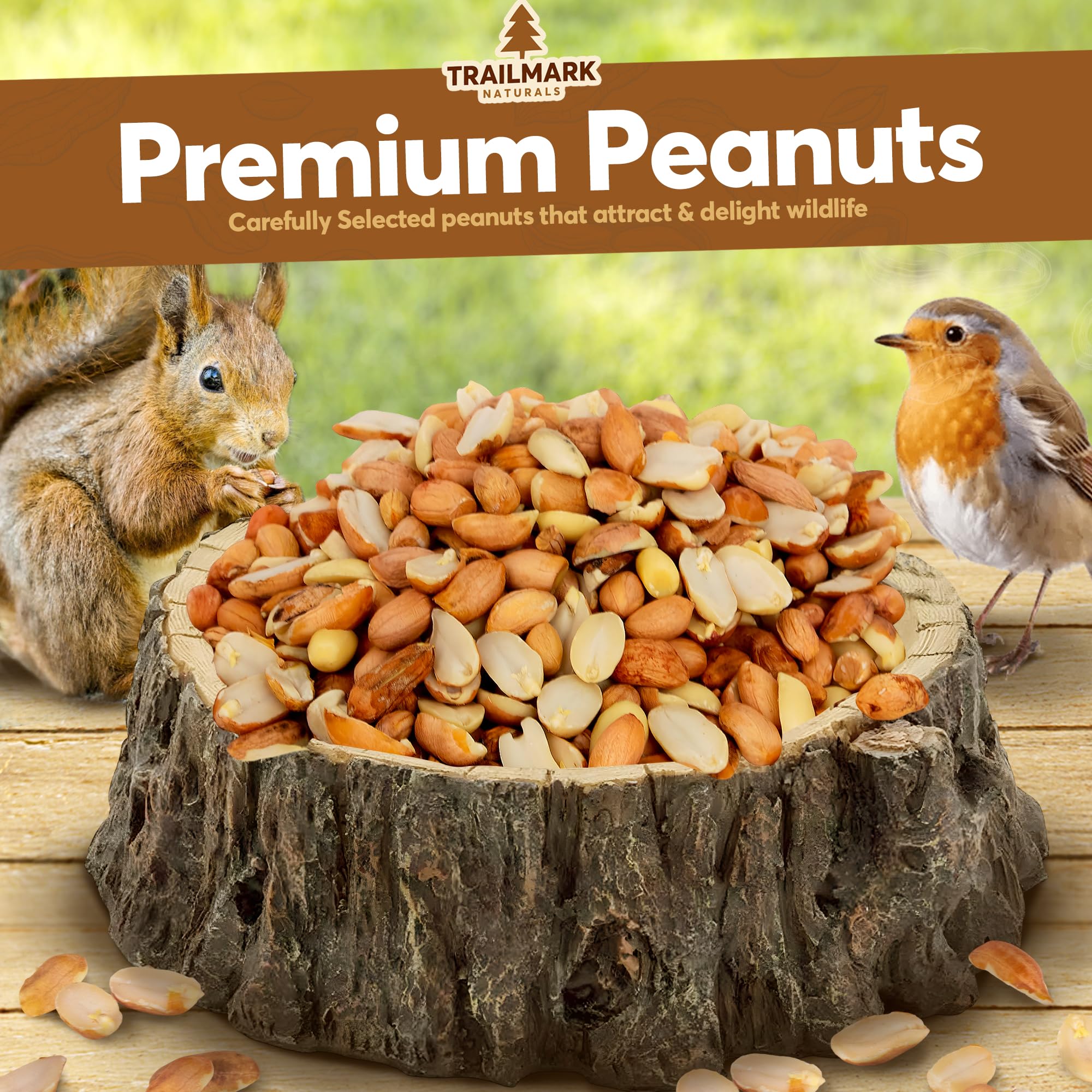 Trailmark Naturals close-up of raw shelled peanuts showing natural texture and freshness