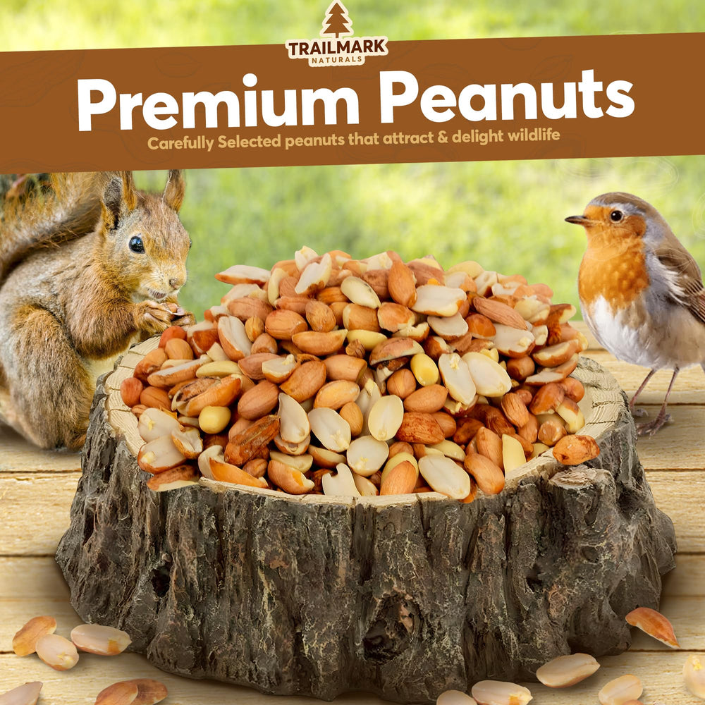 Trailmark Naturals close-up of raw shelled peanuts showing natural texture and freshness
