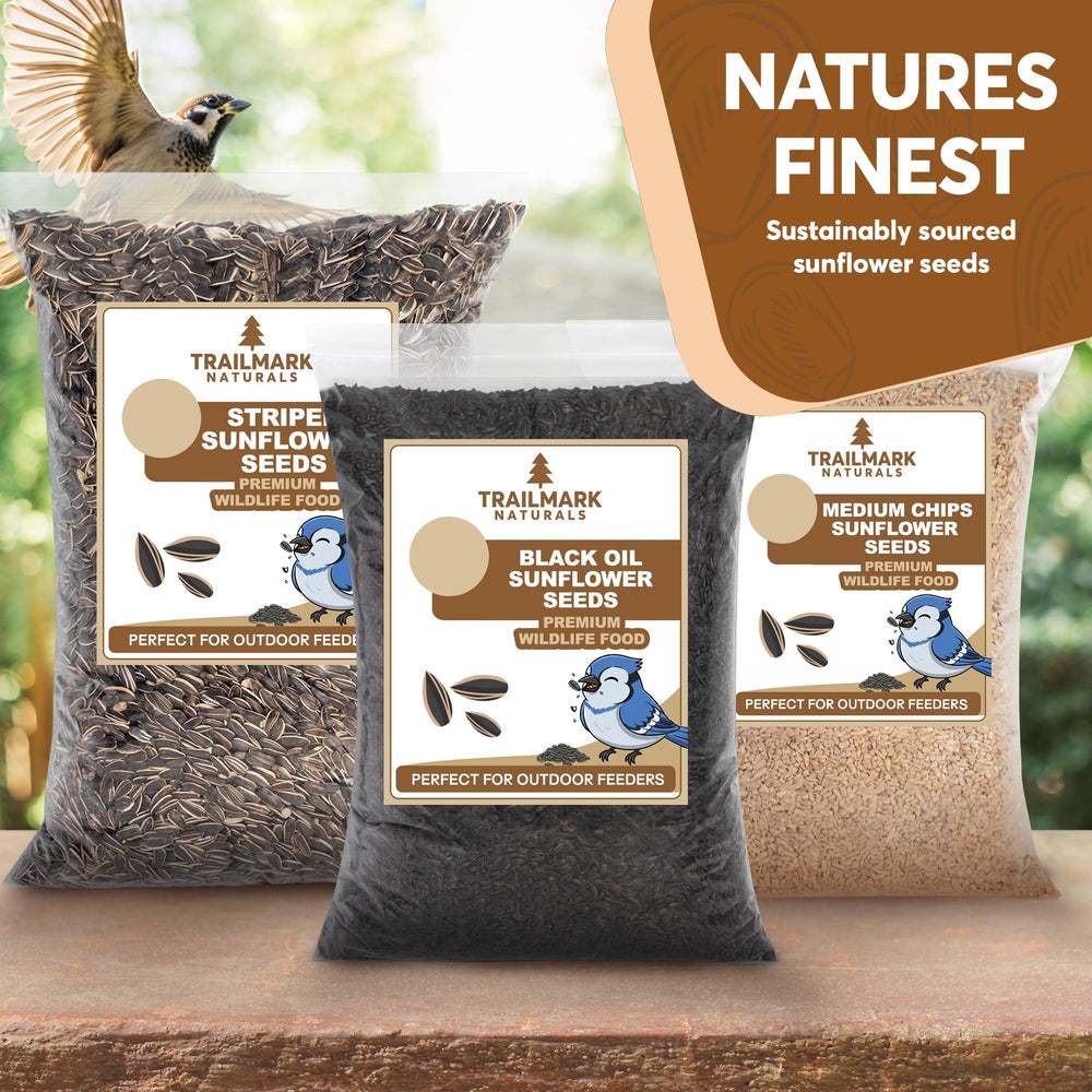 TRAILMARK NATURALS pouring seeds into a hopper feeder for easy daily feeding
