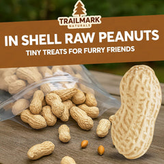 TRAILMARK NATURALS squirrel cracking a peanut highlighting engaging, protein-rich squirrel food