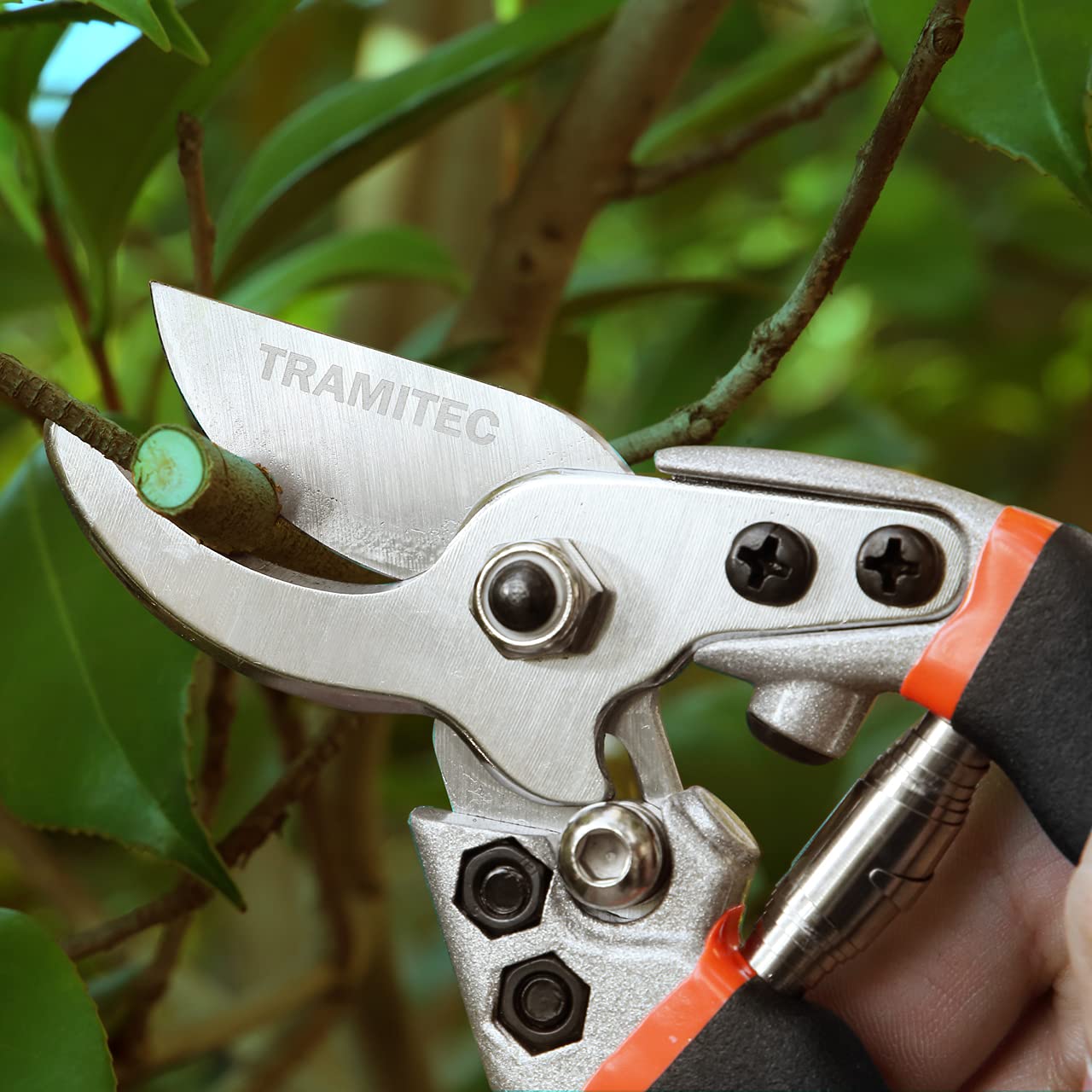 TRAMITEC label on blade showing SK-5 and carbon steel durability