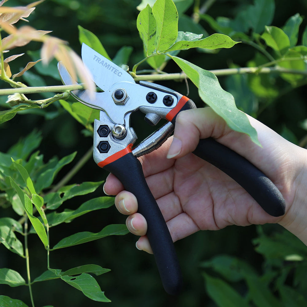 TRAMITEC tools staged in garden showing ready-to-use convenience